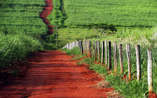 610977 (a): :2560x1600